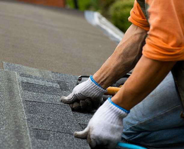 Best Roof Gutter Cleaning  in Columbus Grove, OH